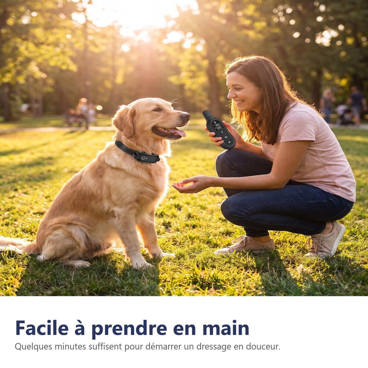 Facile à prendre en main