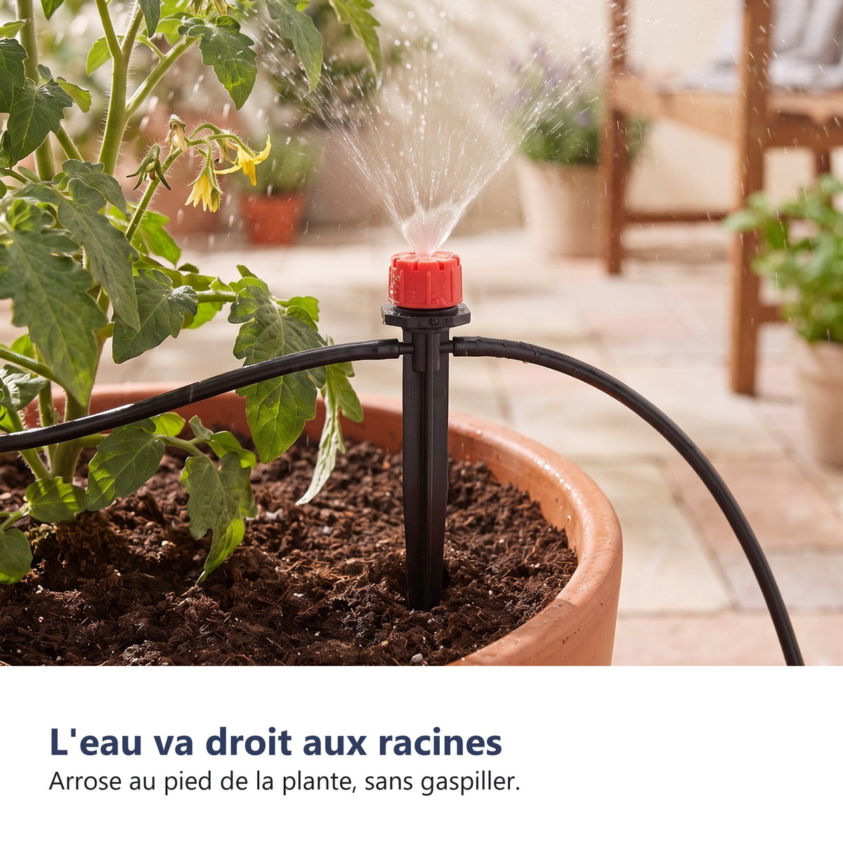 L'eau va droit aux racines