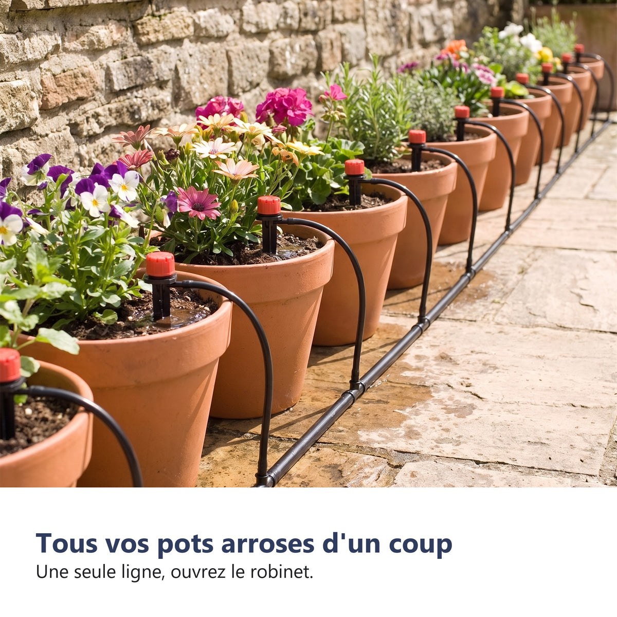Tous vos pots arroses d'un coup