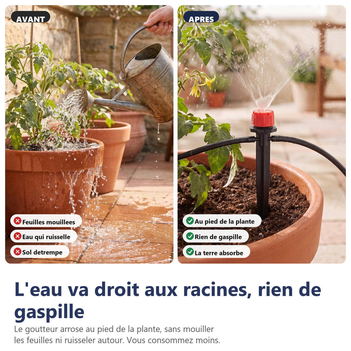 L eau va droit aux racines