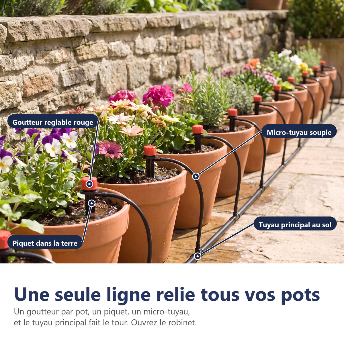 Une seule ligne relie tous vos pots