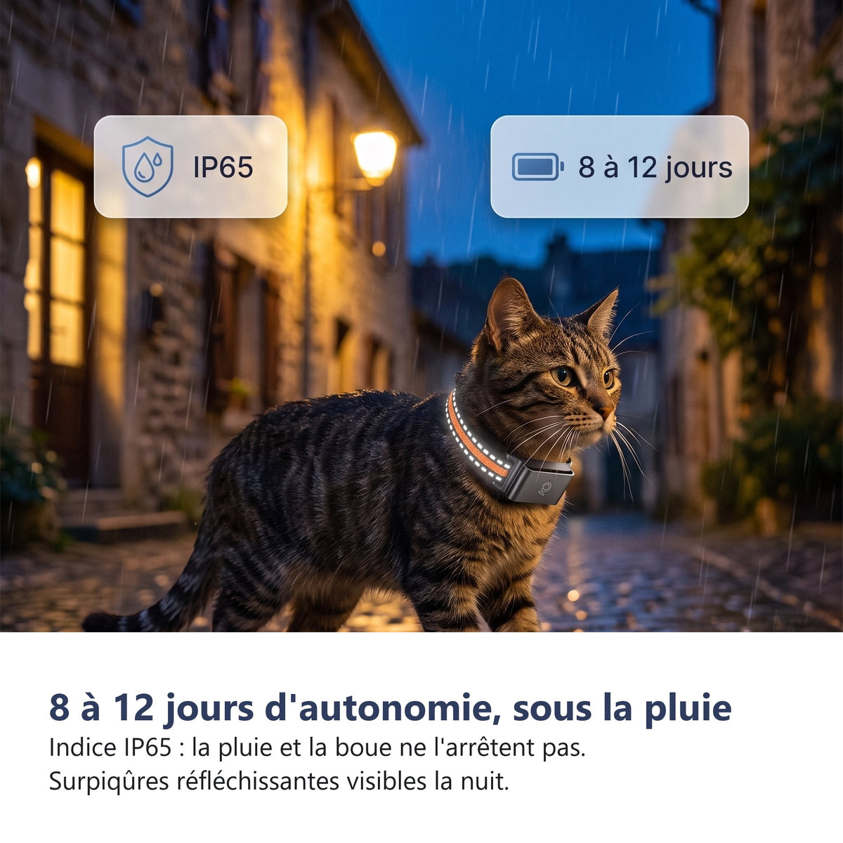 8 a 12 jours d'autonomie, indice IP65