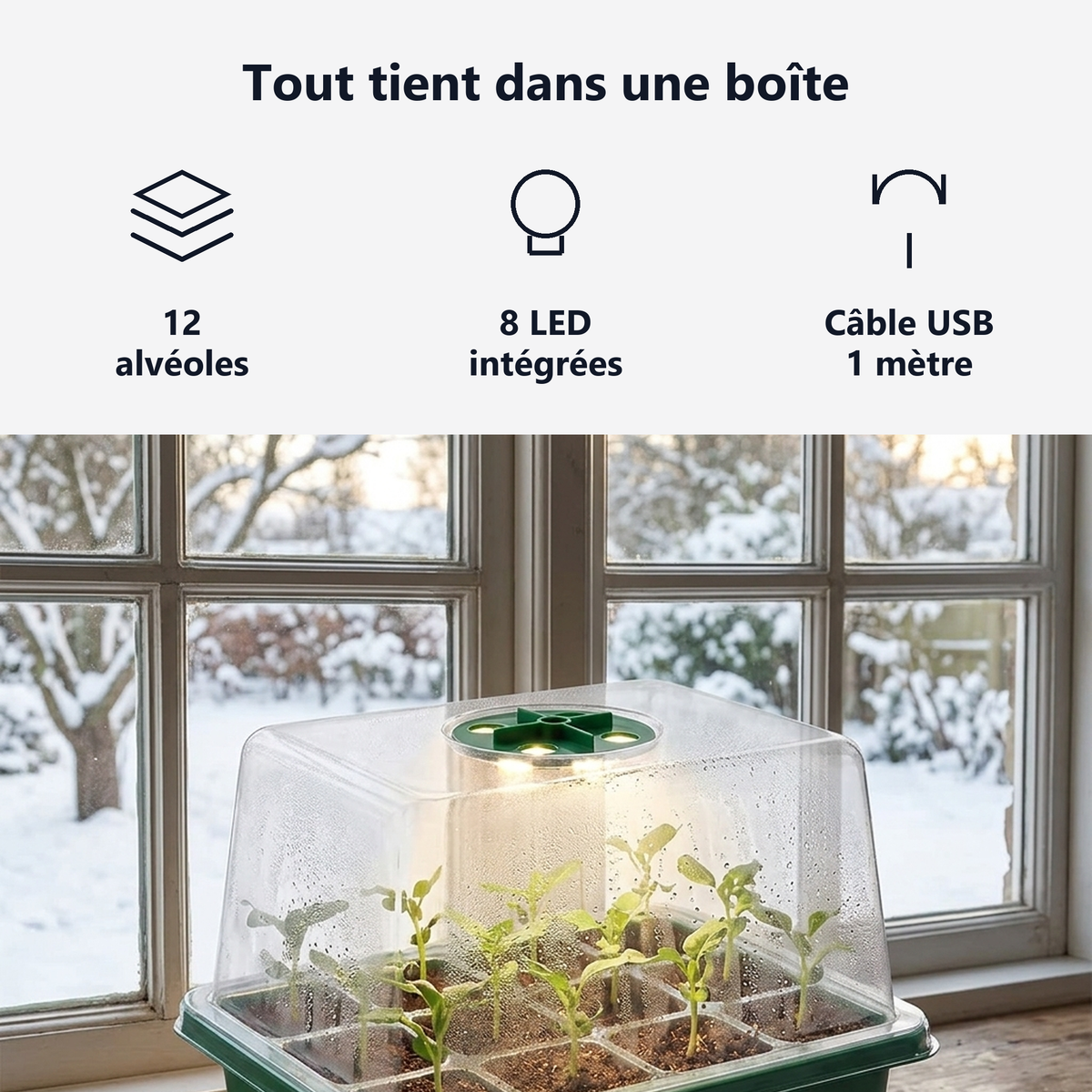 12 alvéoles, 8 LED dans le couvercle, 100 cm de câble