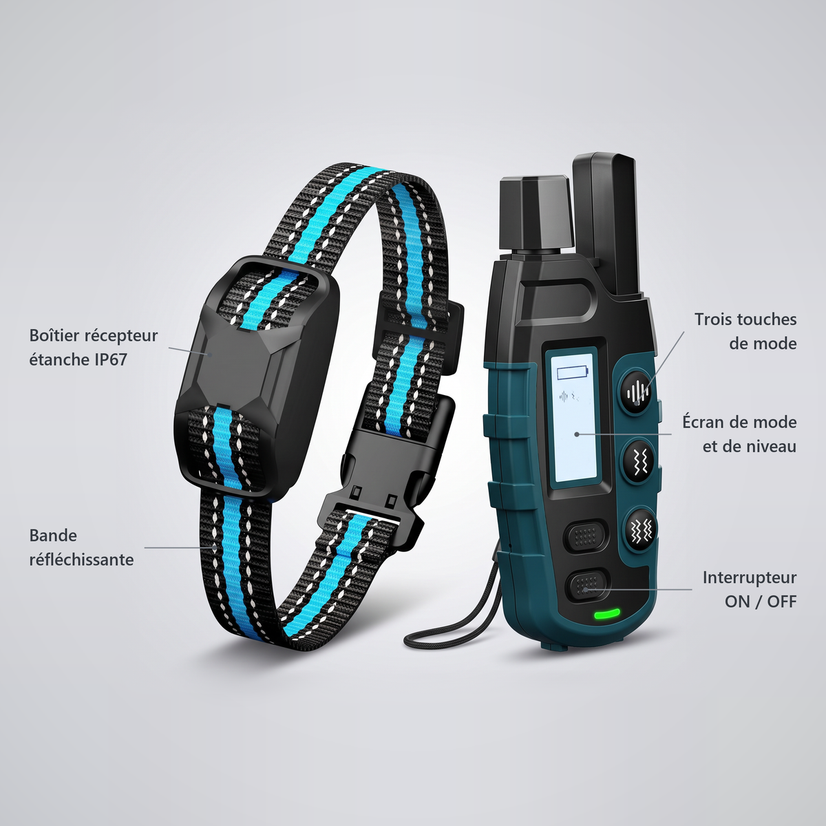Un bip, une vibration, et vous avez son attention