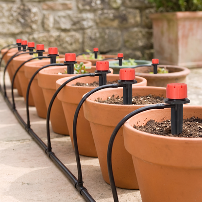 De 6 plantes à 60, la ligne s'allonge