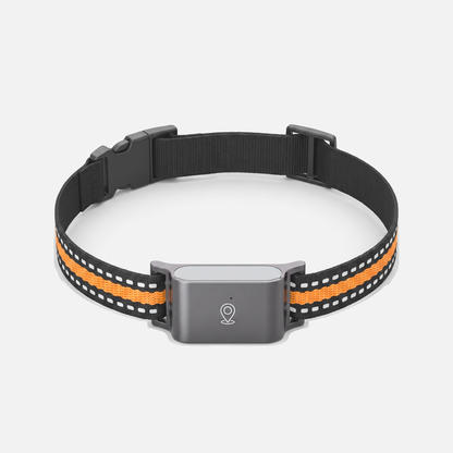 Collier GPS chat sans abonnement