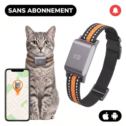 Collier GPS pour chat sans abonnement porté par un chat, avec la localisation affichée sur l'application du smartphone