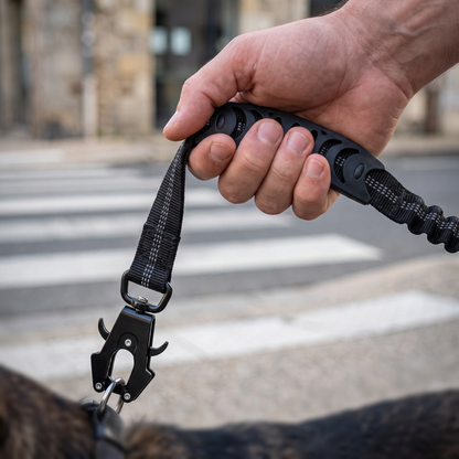 Une poignée rembourrée pour marcher, une poignée courte pour reprendre