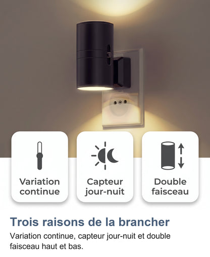 Veilleuse noire et trois cartes : variation continue, capteur jour-nuit, double faisceau