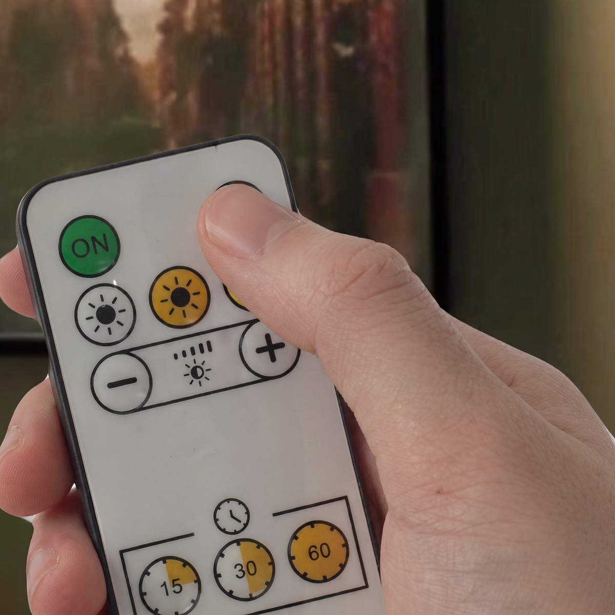 Telecommande fournie avec la version telecommandée