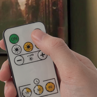 Telecommande fournie avec la version telecommandée