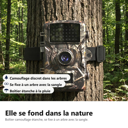 Elle se fond dans la nature