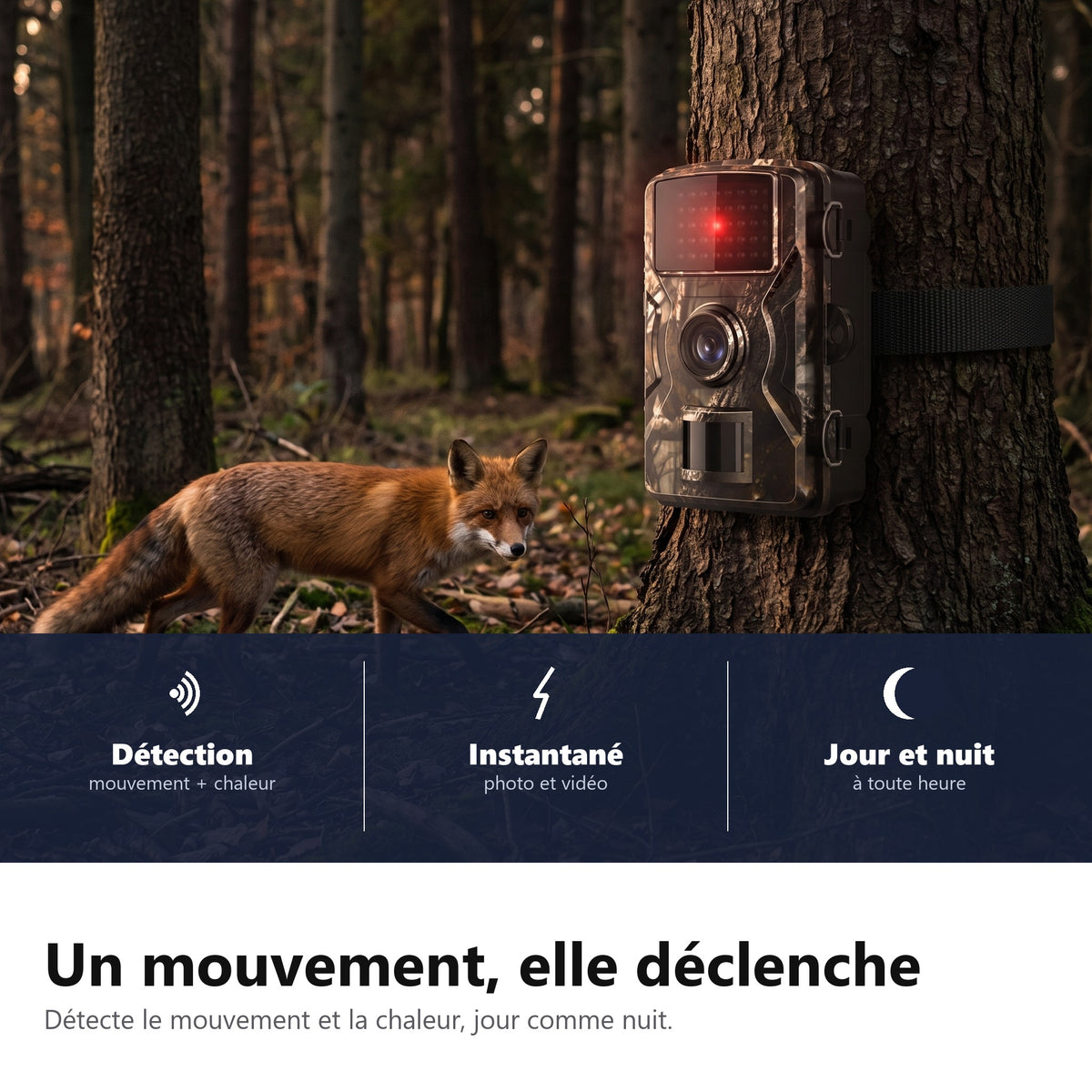 Un mouvement, elle déclenche