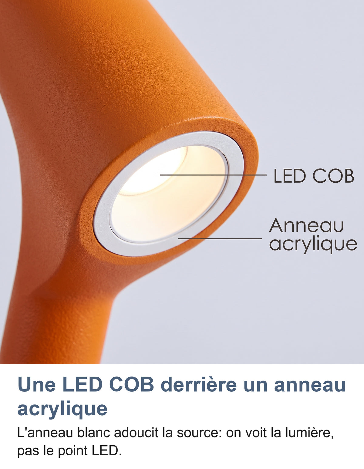 Gros plan sous la tête : LED COB derrière l'anneau acrylique blanc