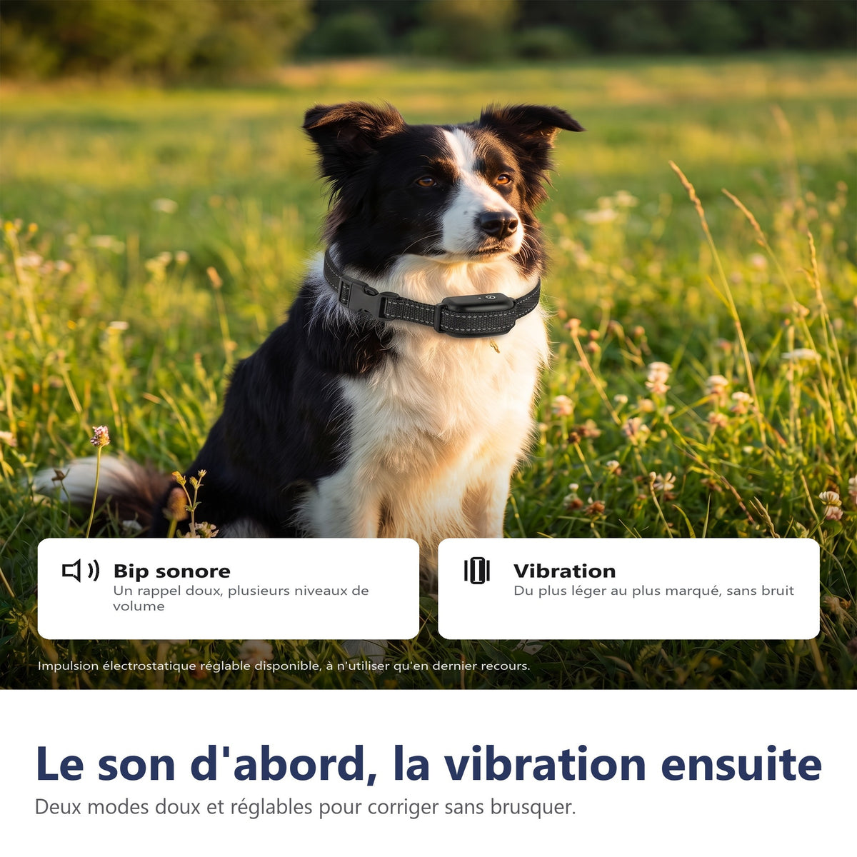 Le son d'abord, la vibration ensuite