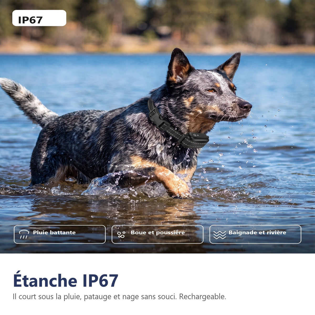 Étanche IP67