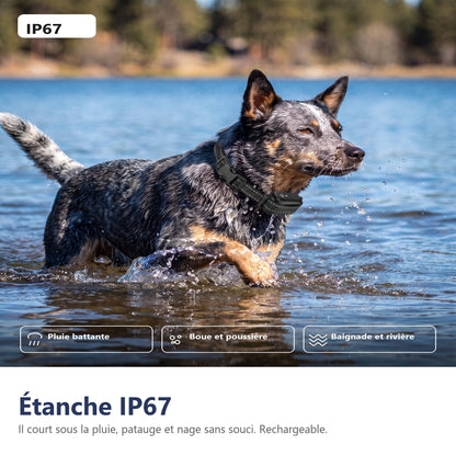 Étanche IP67