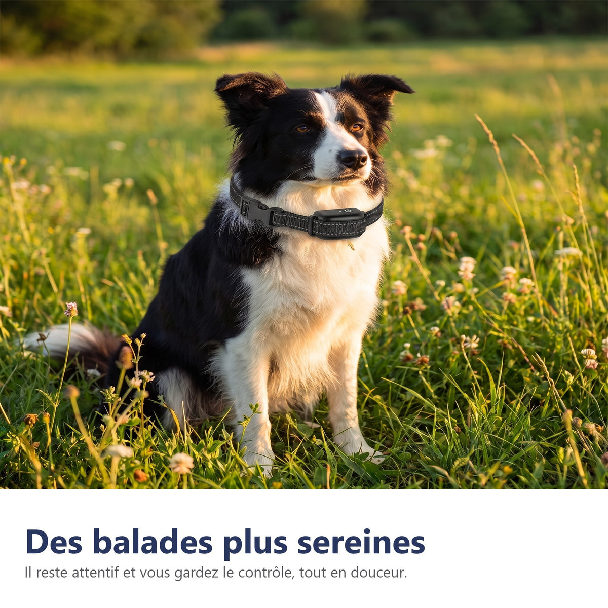 Des balades plus sereines