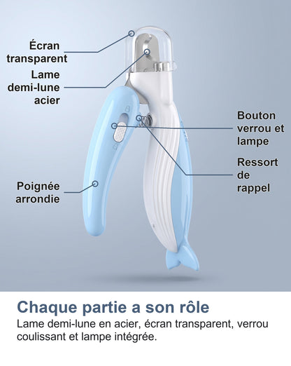Les parties du coupe-griffes LED : lame, écran transparent, verrou et lampe