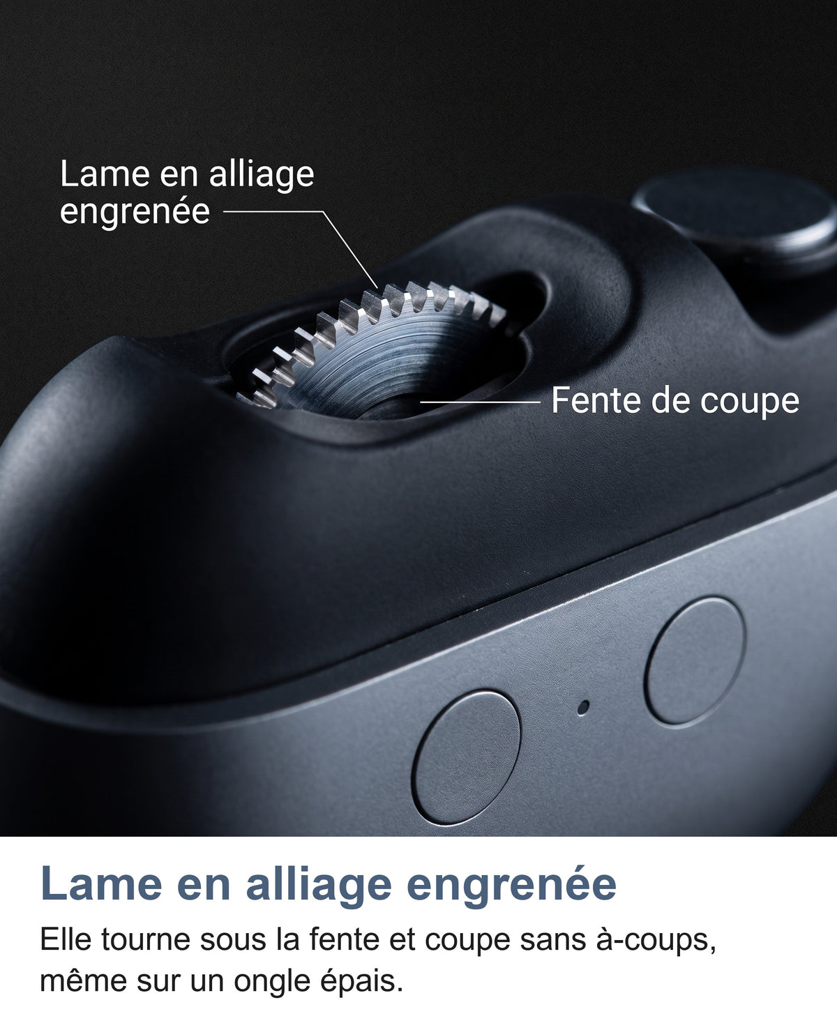 Macro de la lame en alliage engrenée à l'intérieur de la fente de coupe