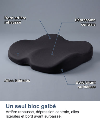 Un seul bloc galbé Arrière rehaussé, dépression centrale, ailes latérales et bord avant surbaissé.
