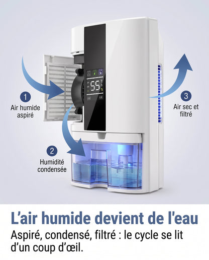 Fonctionnement du déshumidificateur et circulation de l'air