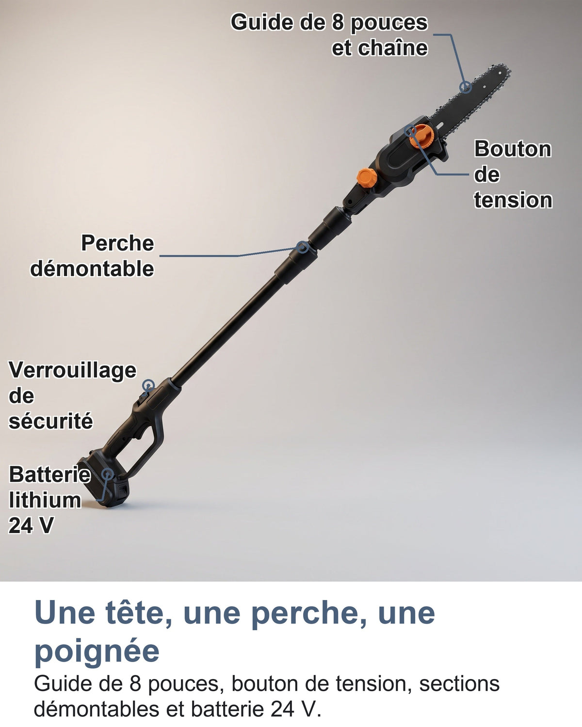 Une tête, une perche, une poignée