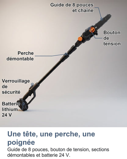 Une tête, une perche, une poignée