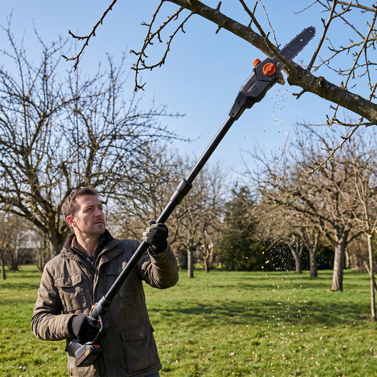 Élagueuse sur Perche 24V, Coupe Branche Télescopique Sans Fil