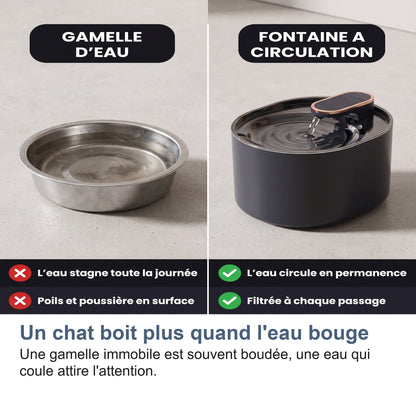 Un chat boit plus quand l'eau bouge Une gamelle immobile est souvent boudée, une eau qui coule attire l'attention.