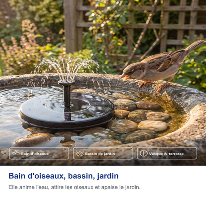 Bain d'oiseaux, bassin, jardin