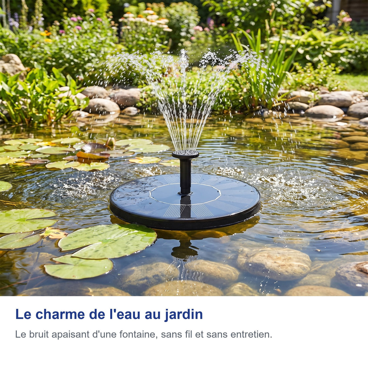 Le charme de l'eau au jardin