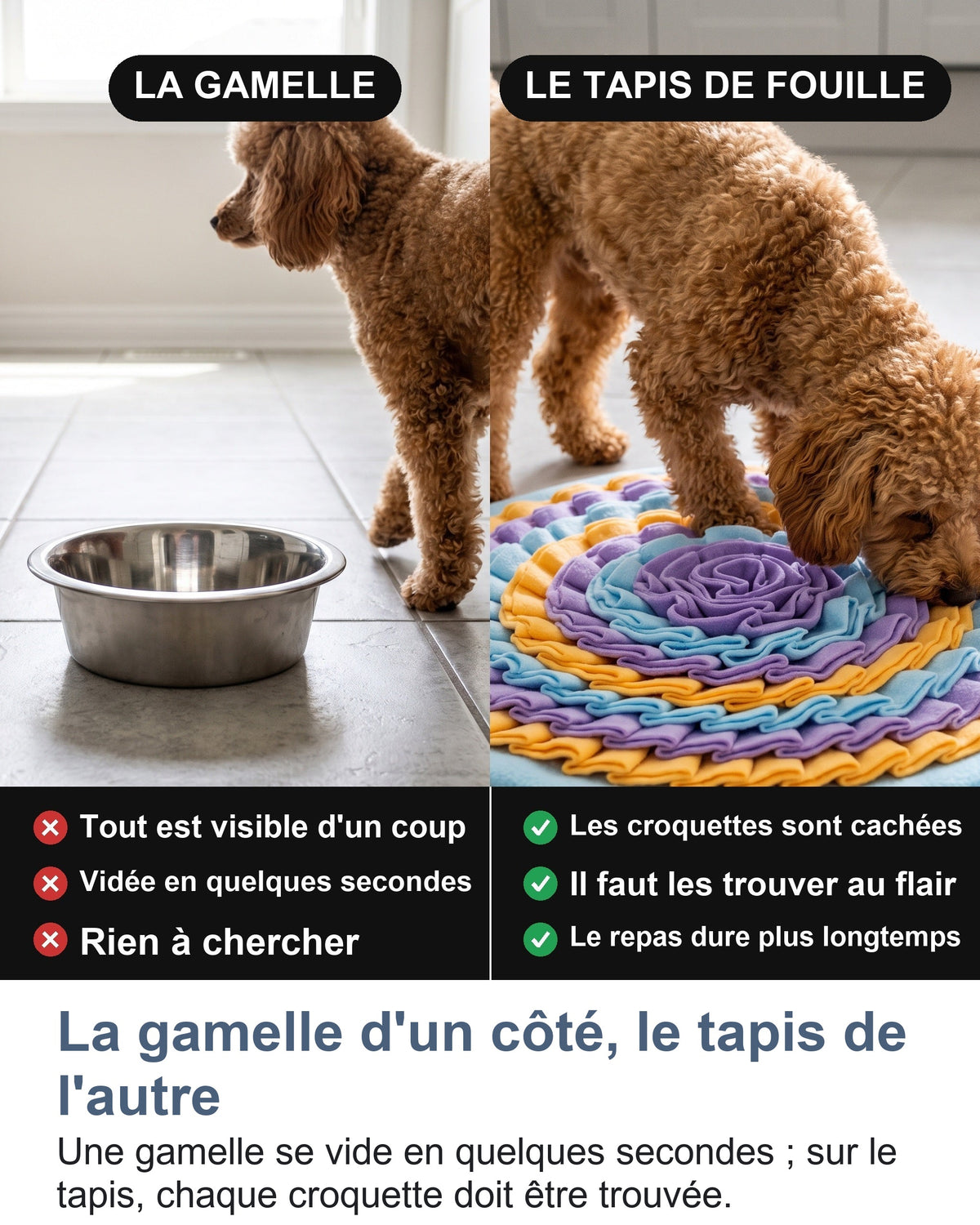 La gamelle d'un côté, le tapis de l'autre Une gamelle se vide en quelques secondes ; sur le tapis, chaque croquette doit être trouvée.