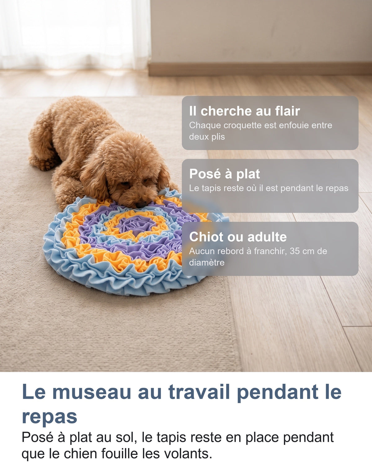 Le museau au travail pendant le repas Posé à plat au sol, le tapis reste en place pendant que le chien fouille les volants.