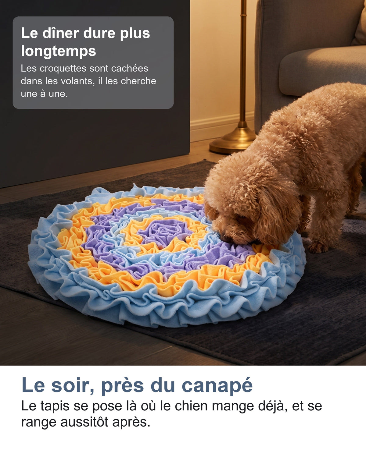 Le soir, près du canapé Le tapis se pose là où le chien mange déjà, et se range aussitôt après.