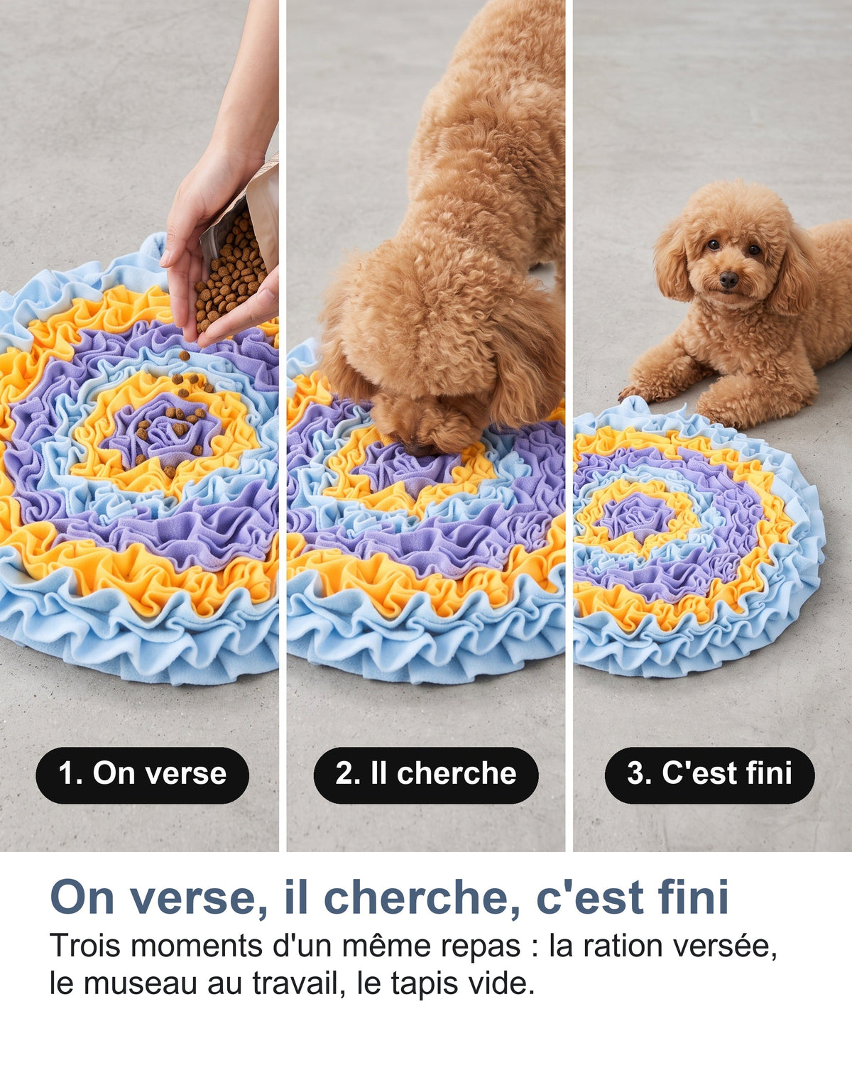On verse, il cherche, c'est fini Trois moments d'un même repas : la ration versée, le museau au travail, le tapis vide.