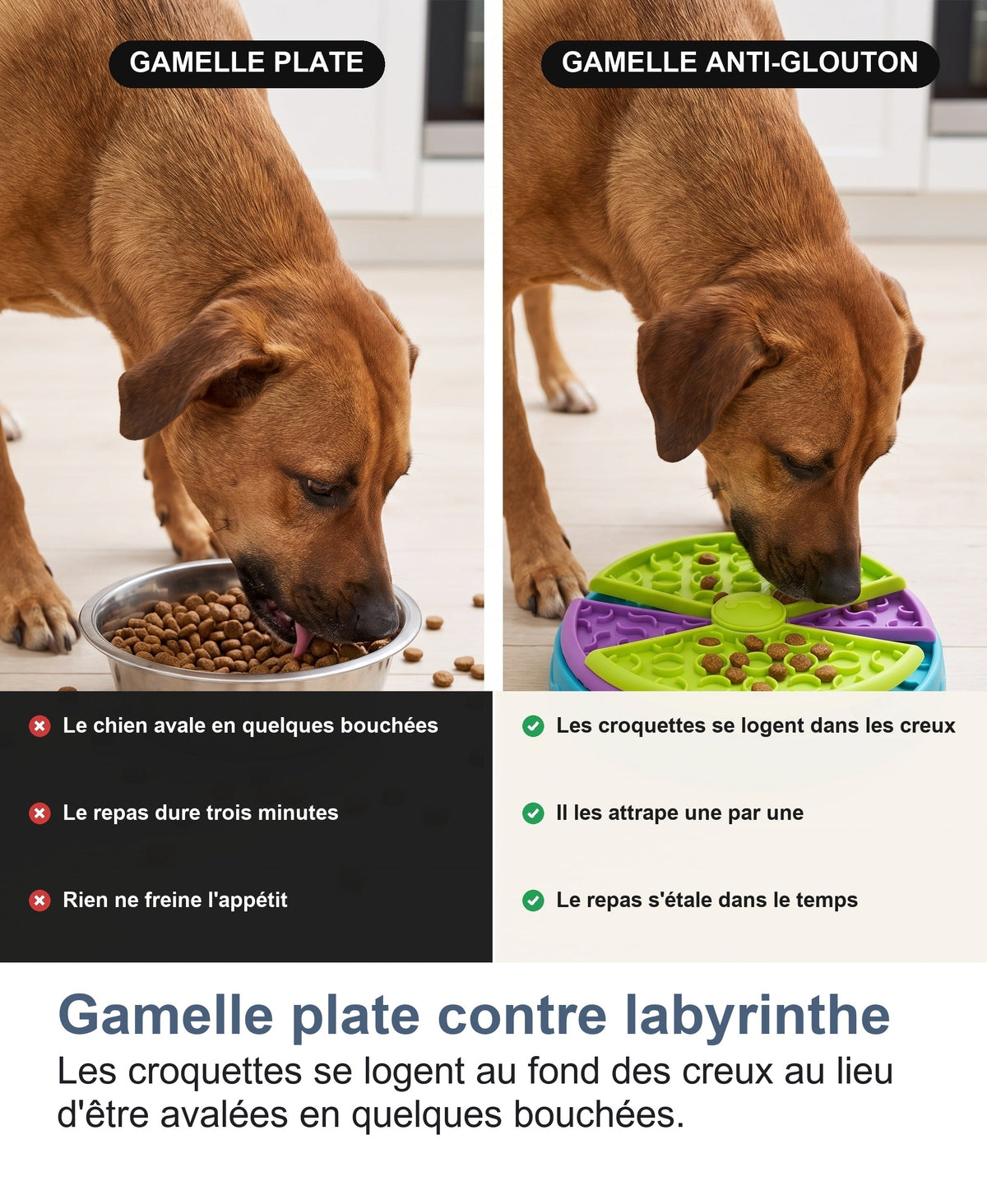 Gamelle plate contre labyrinthe