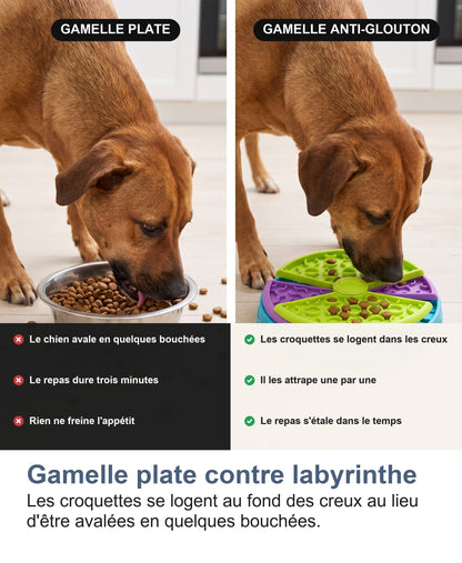 Gamelle plate contre labyrinthe