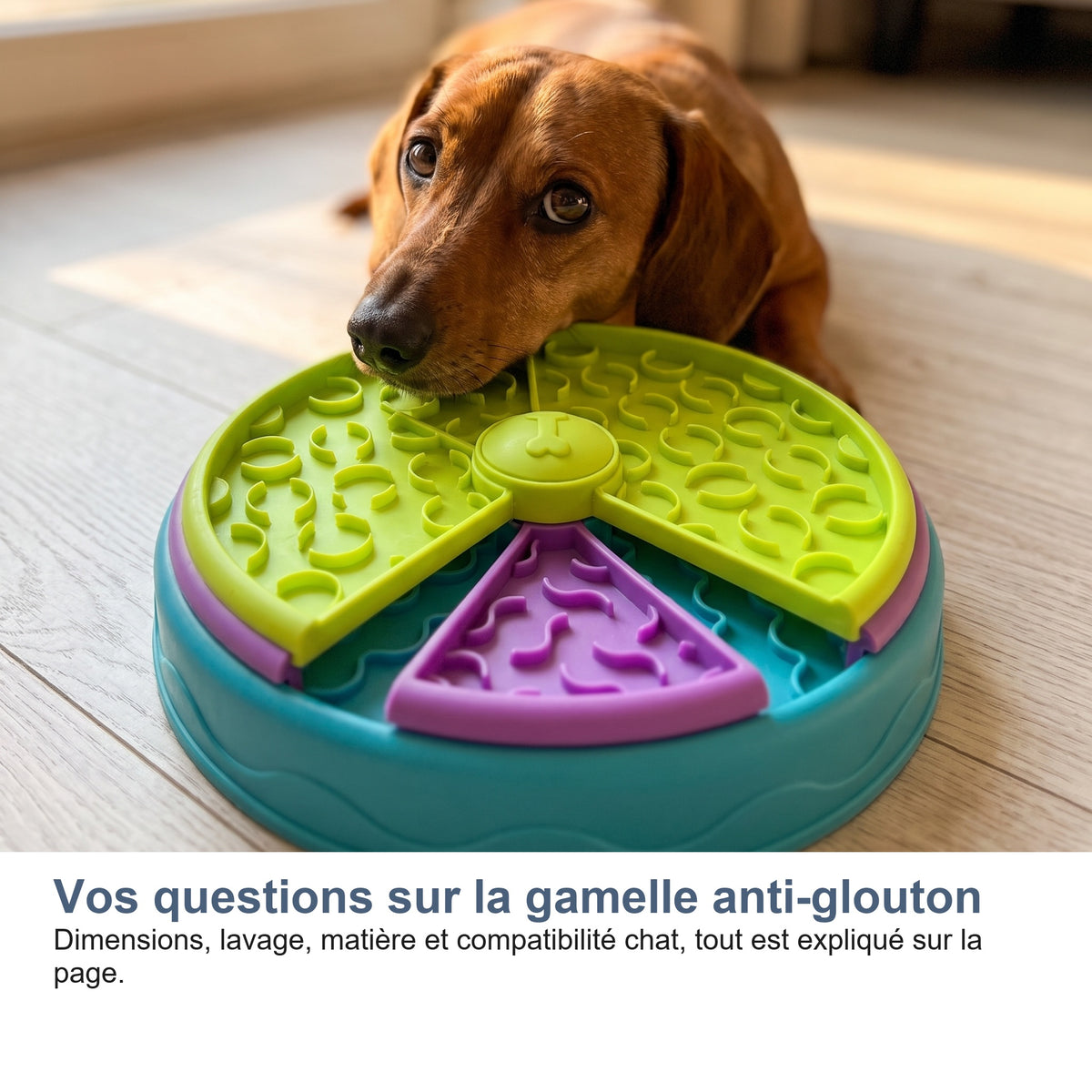 Vos questions sur la gamelle anti-glouton