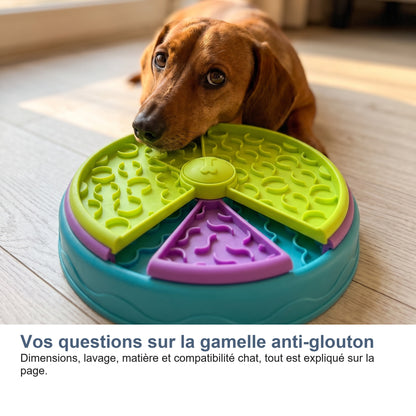 Vos questions sur la gamelle anti-glouton
