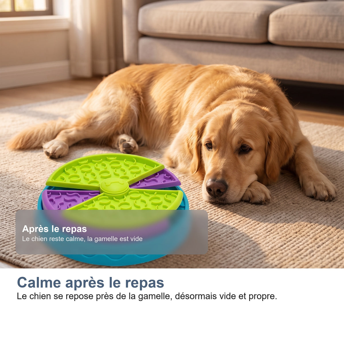 Calme après le repas