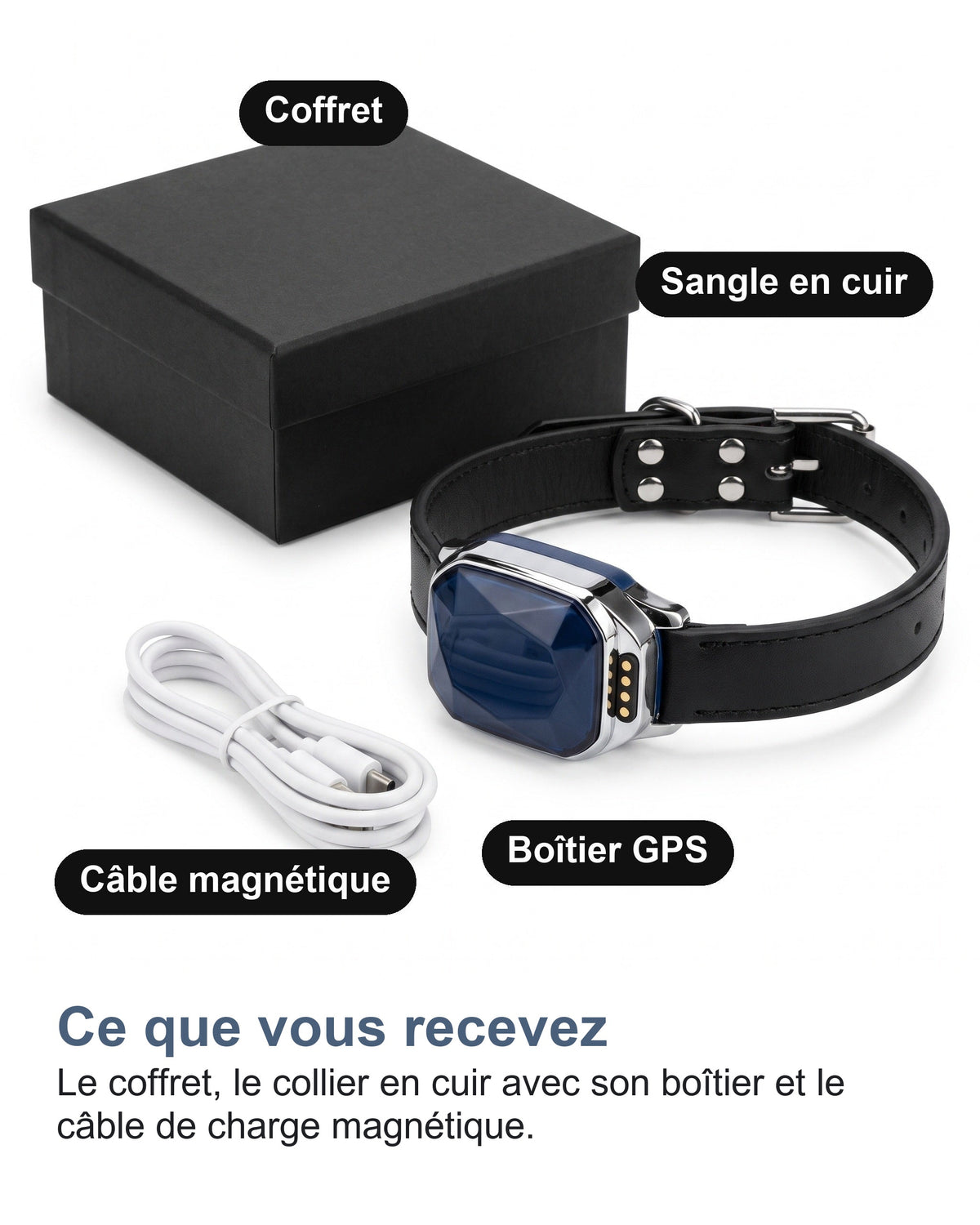 Ce que vous recevez Le coffret, le collier en cuir avec son boîtier et le câble de charge magnétique.