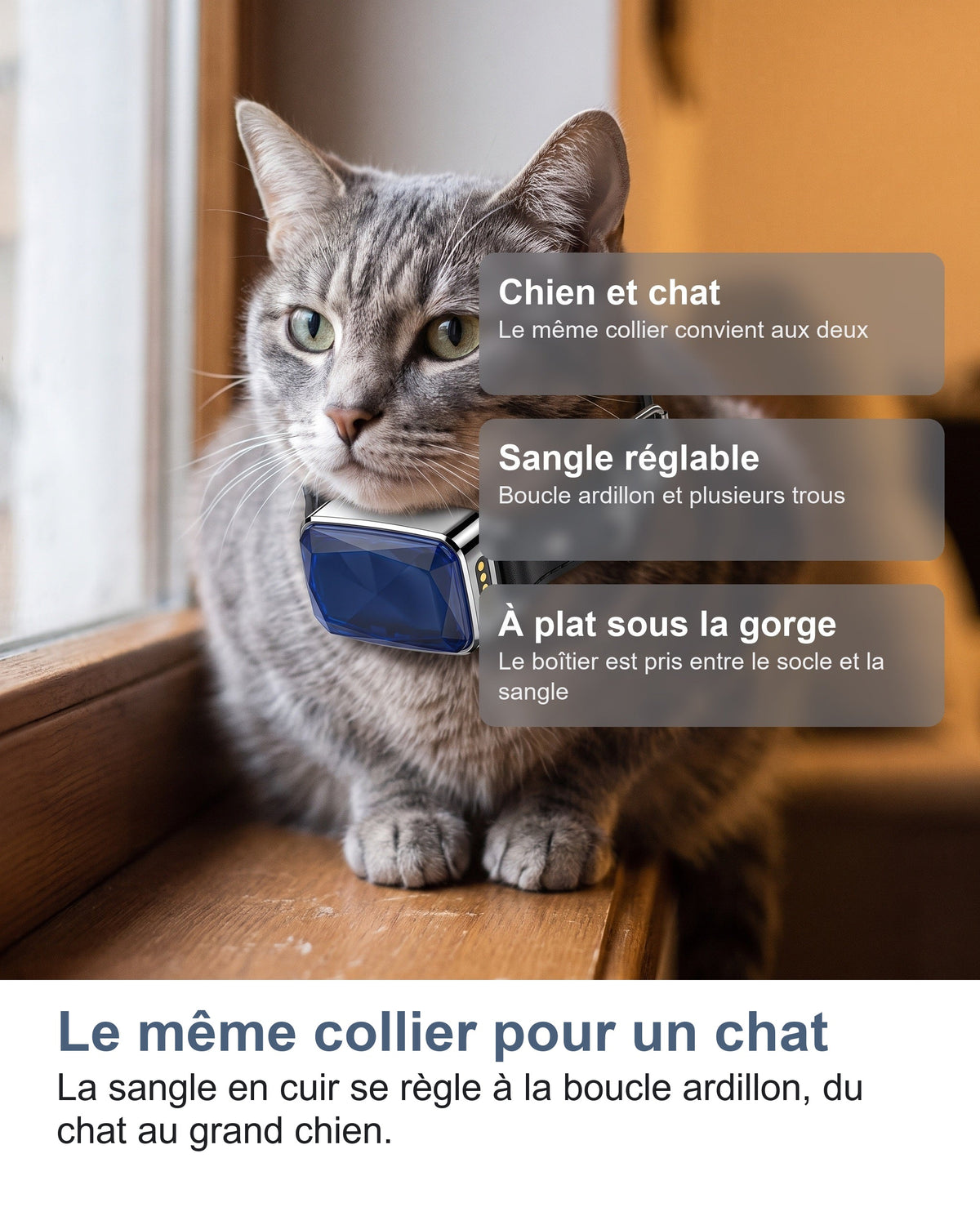 Le même collier pour un chat La sangle en cuir se règle à la boucle ardillon, du chat au grand chien.
