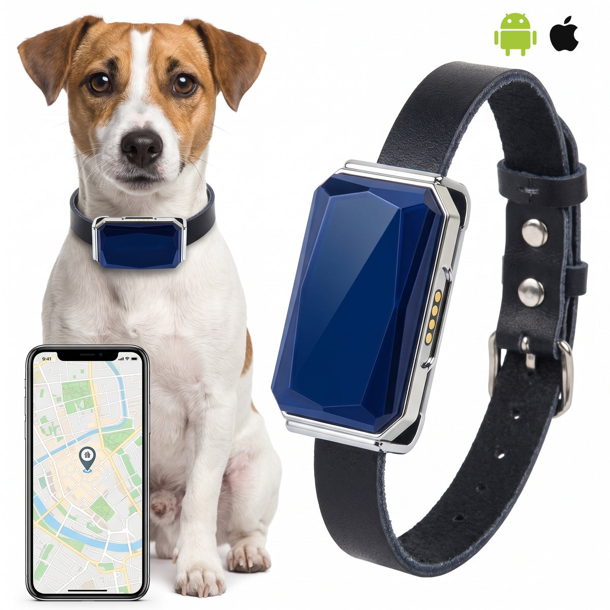 Collier GPS Chien et Chat Sans Abonnement, Suivi en Temps Réel