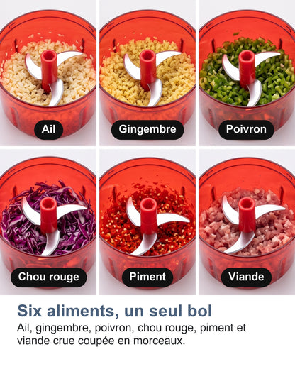Six aliments, un seul bol. Ail, gingembre, poivron, chou rouge, piment et viande crue coupée en morceaux.