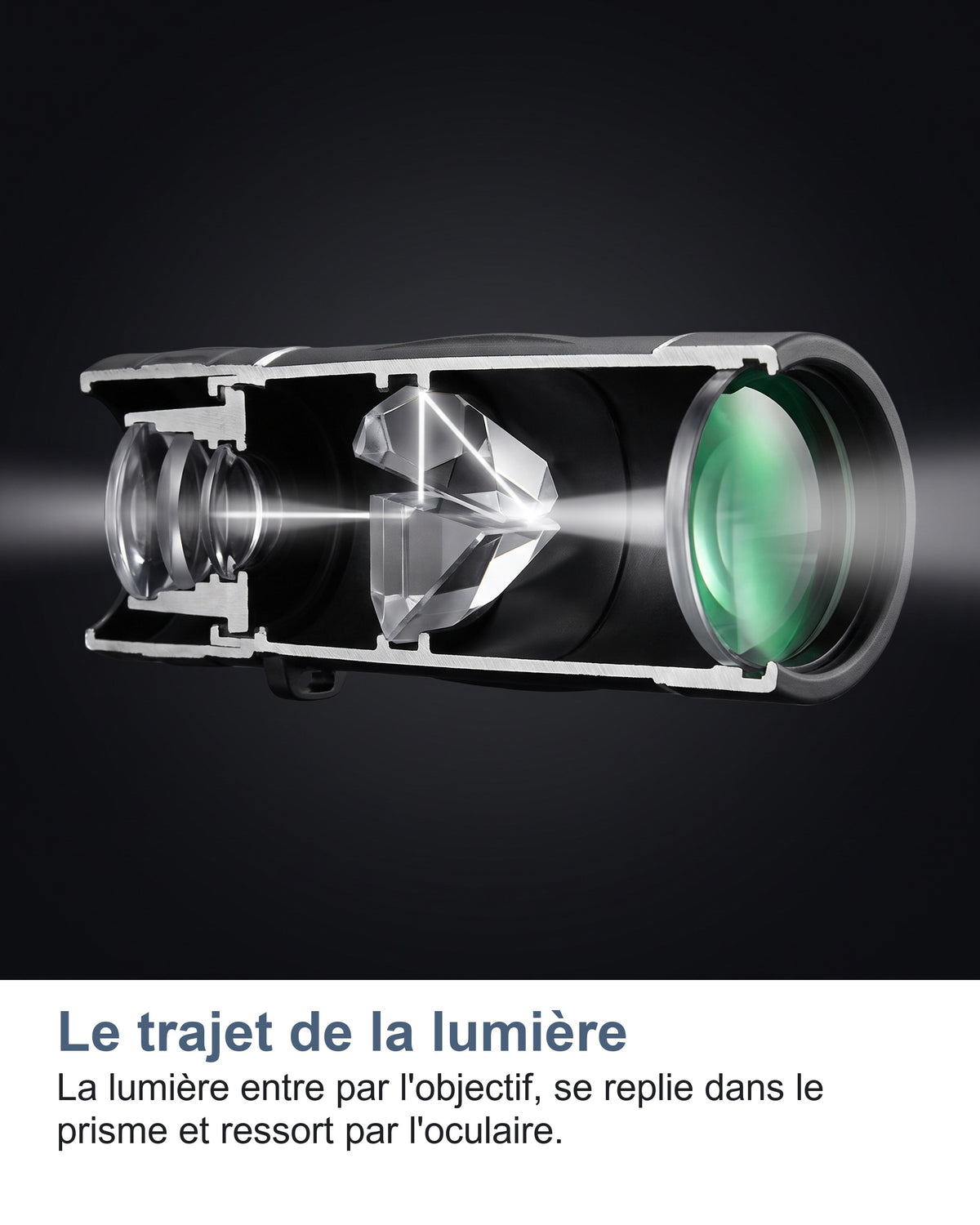 Le trajet de la lumière. La lumière entre par l'objectif, se replie dans le prisme et ressort par l'oculaire.