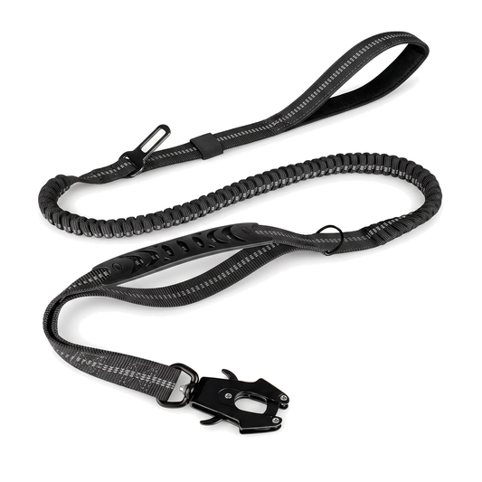 Laisse élastique amortissante pour chien, double poignée, 120 à 178 cm, coloris noir