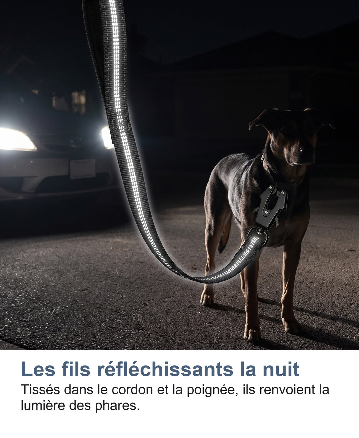 Les fils réfléchissants la nuit