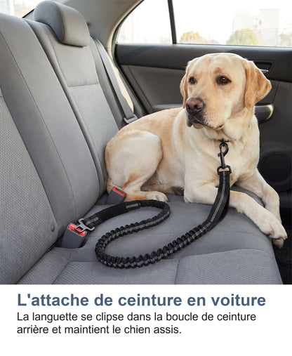 L'attache de ceinture en voiture