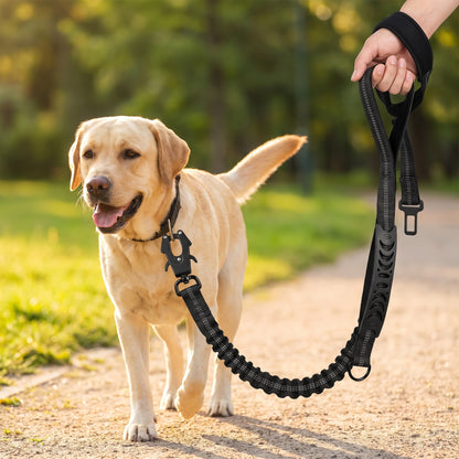 Laisse pour Chien Élastique Anti-Traction, Laisse Chien Réfléchissante